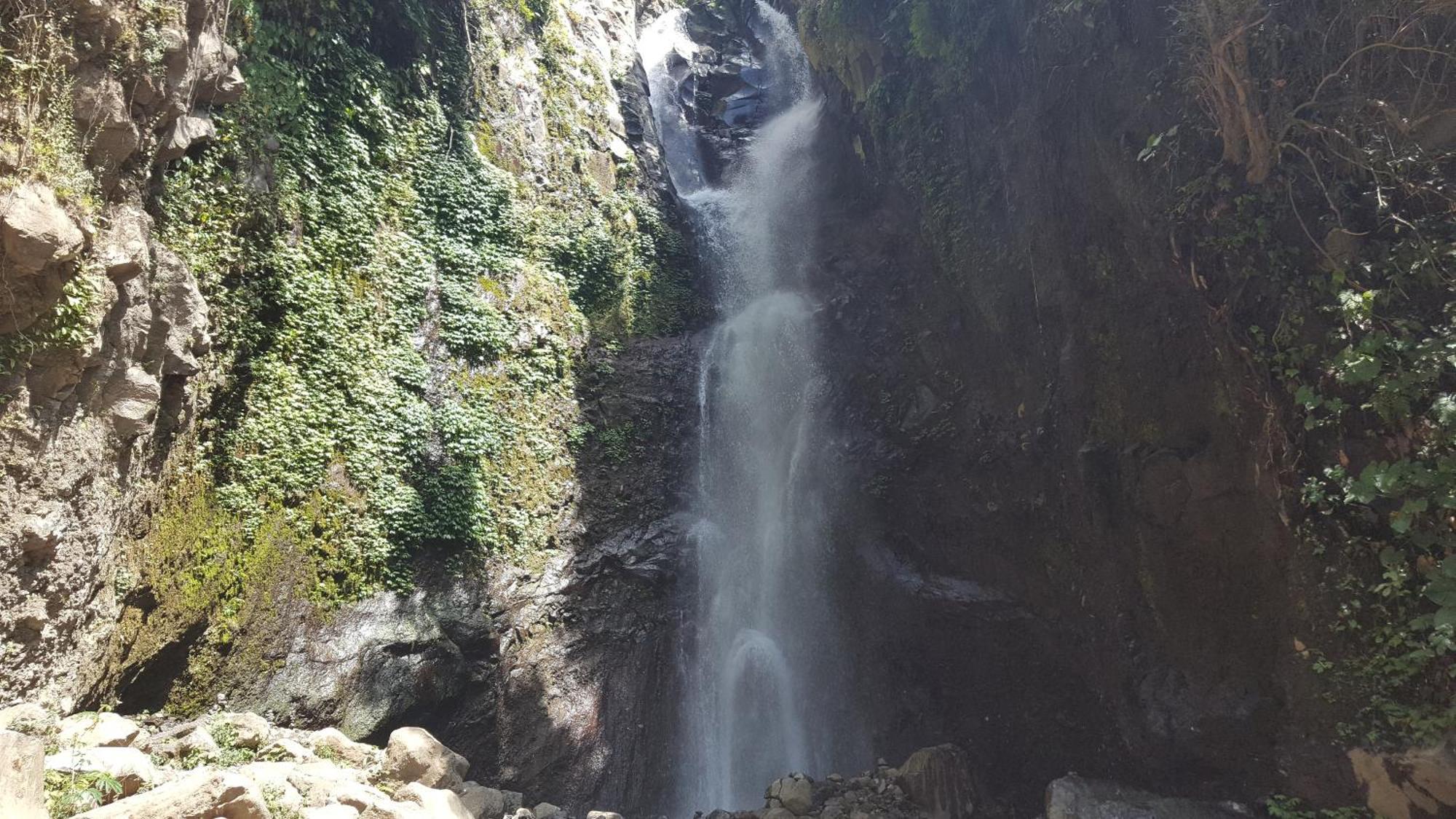 Gede'S Homestay 테자쿨라 외부 사진